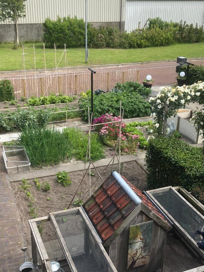 Bij Van Der Veer Julianadorp Luaran gambar